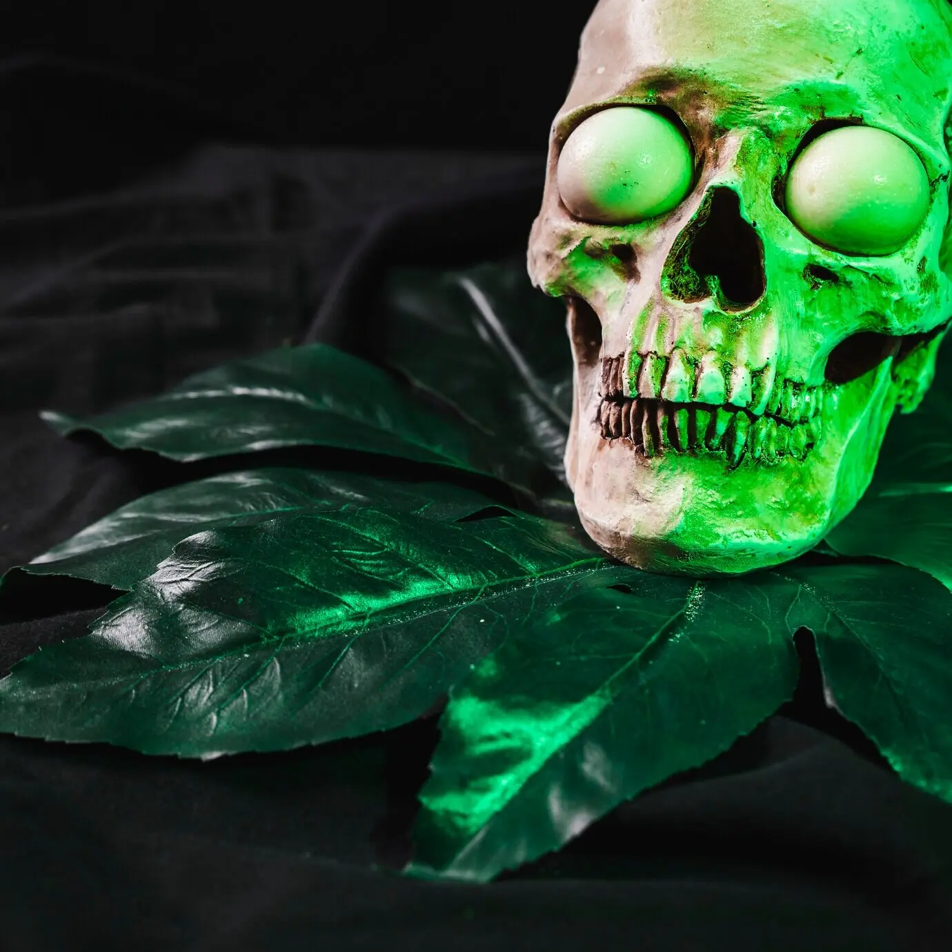 Horror-Konzept mit beleuchtetem Schädel